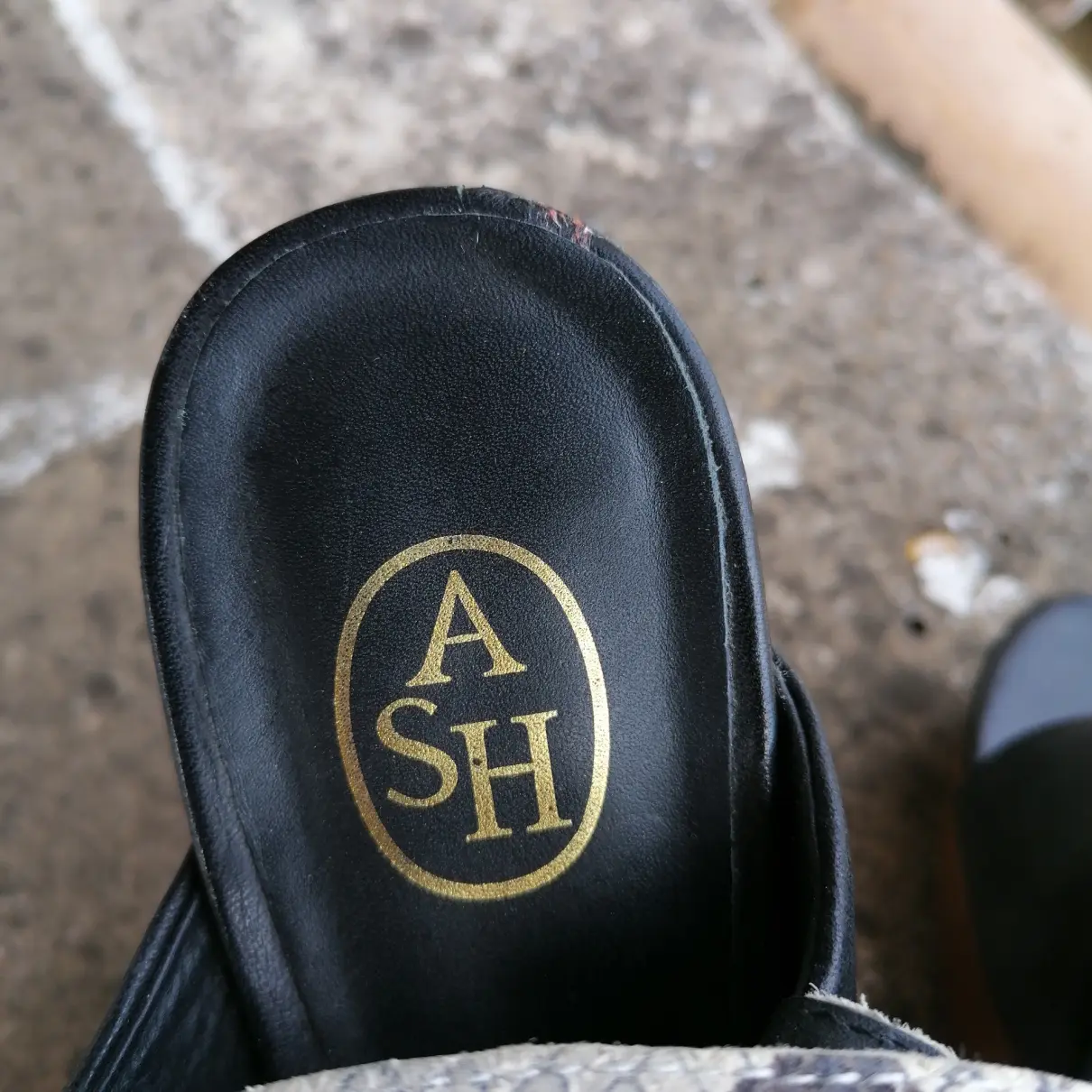 Leather sandals Ash
