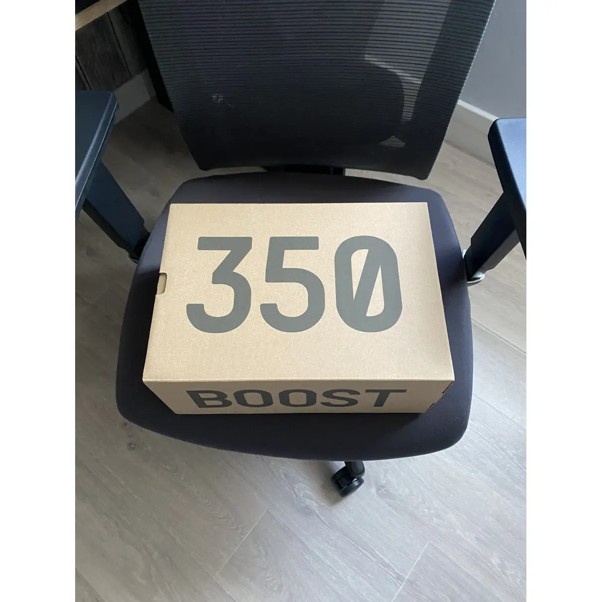 Boost 350 V2 low trainers Yeezy x Adidas