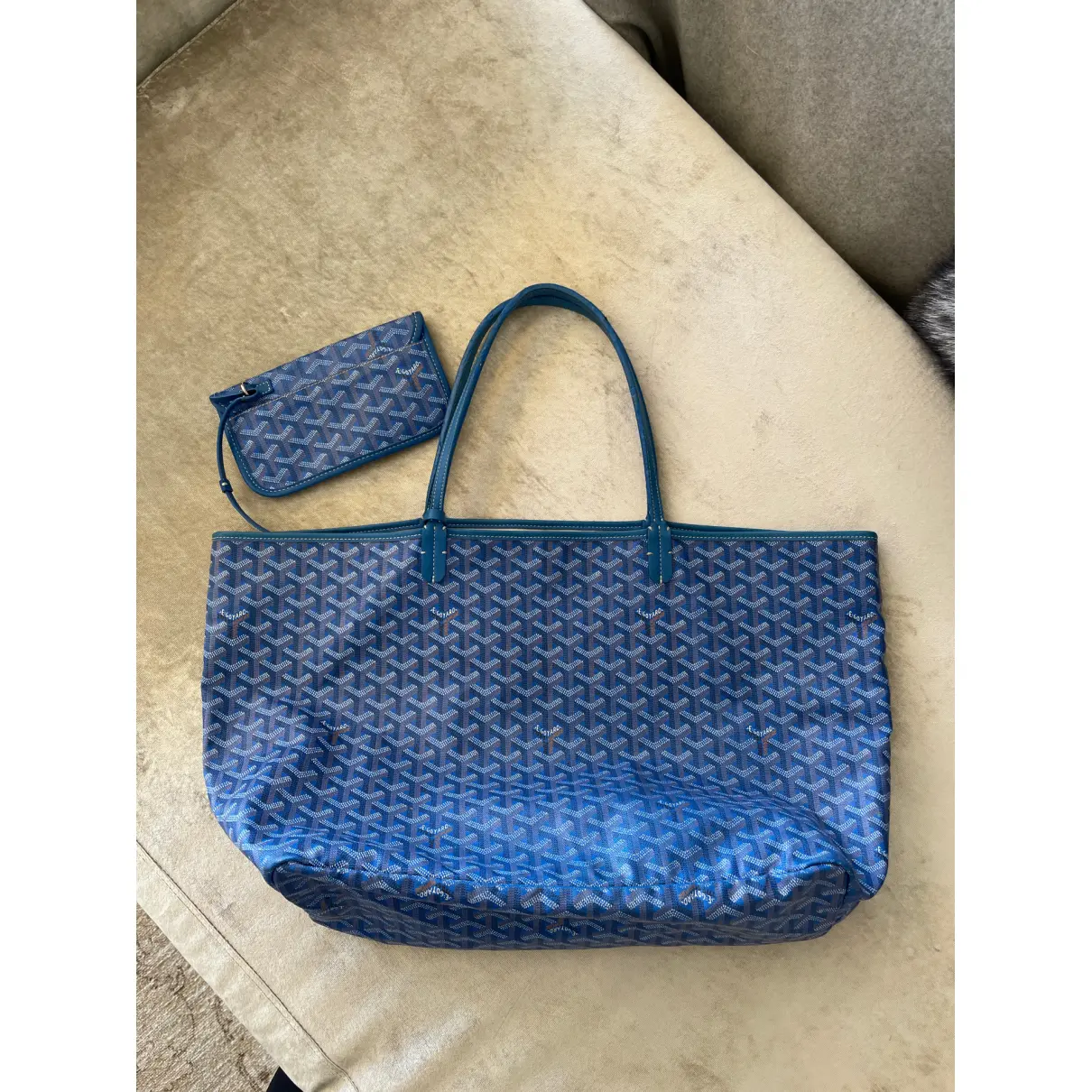 Buy Goyard Saint-Louis cloth handbag online