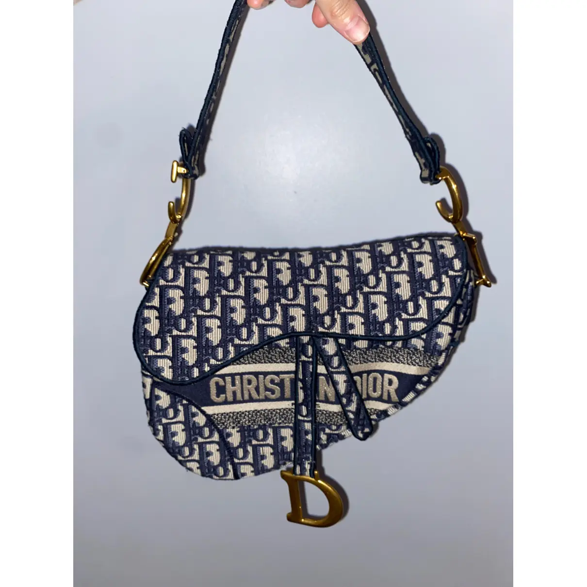 Luxury Dior Handbags Women