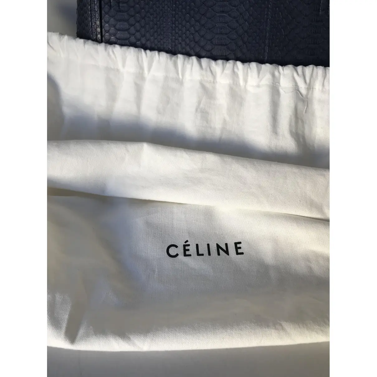 Buy Celine Edge python handbag online