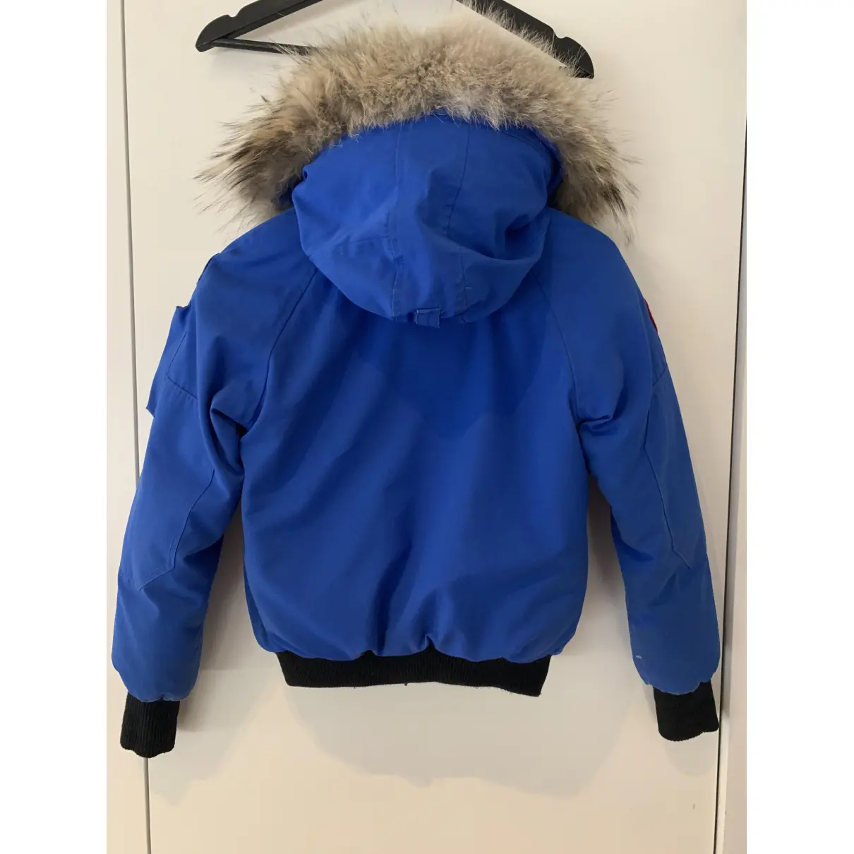 Buy Canada Goose Expedition puffer online