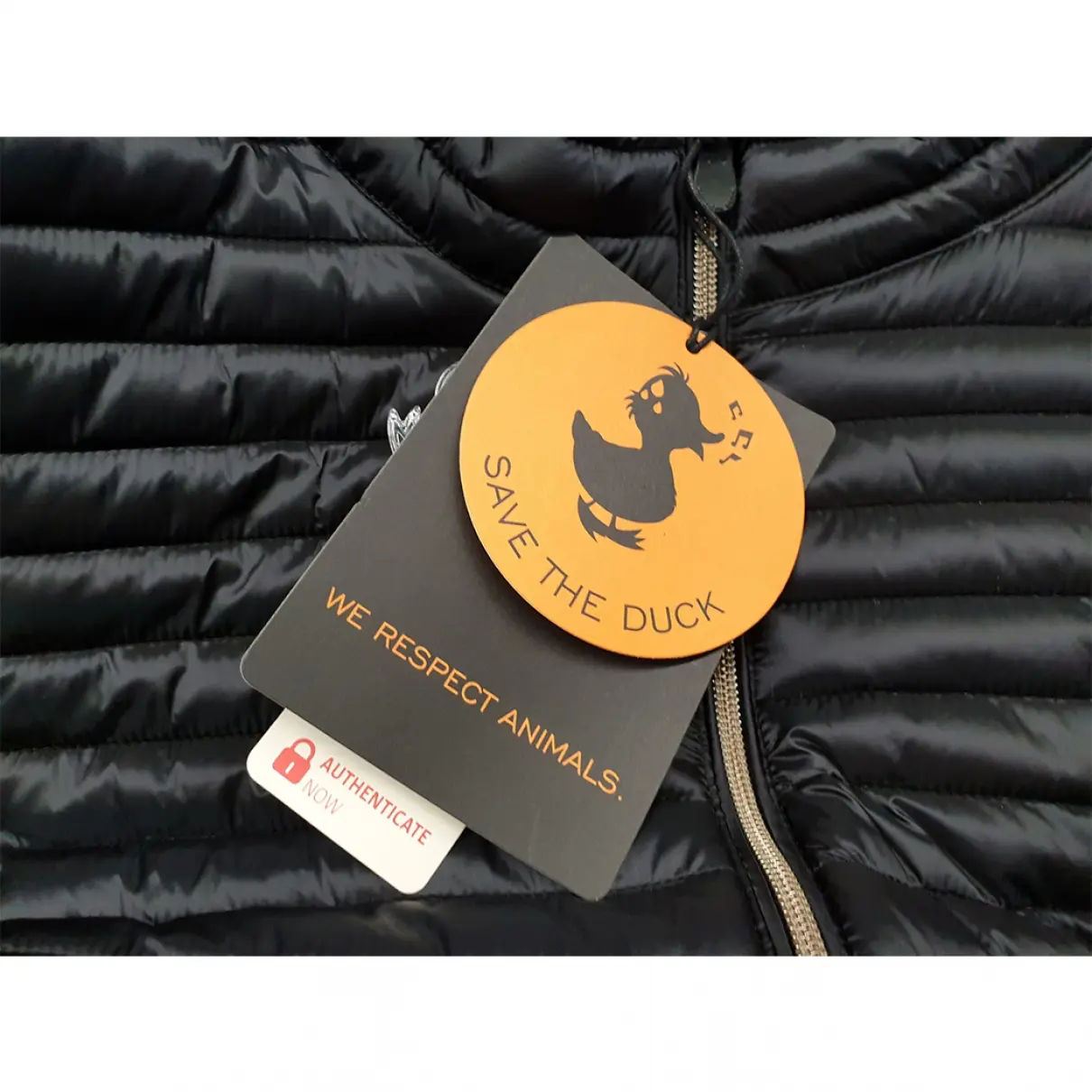 Buy Save the Duck Jacket online