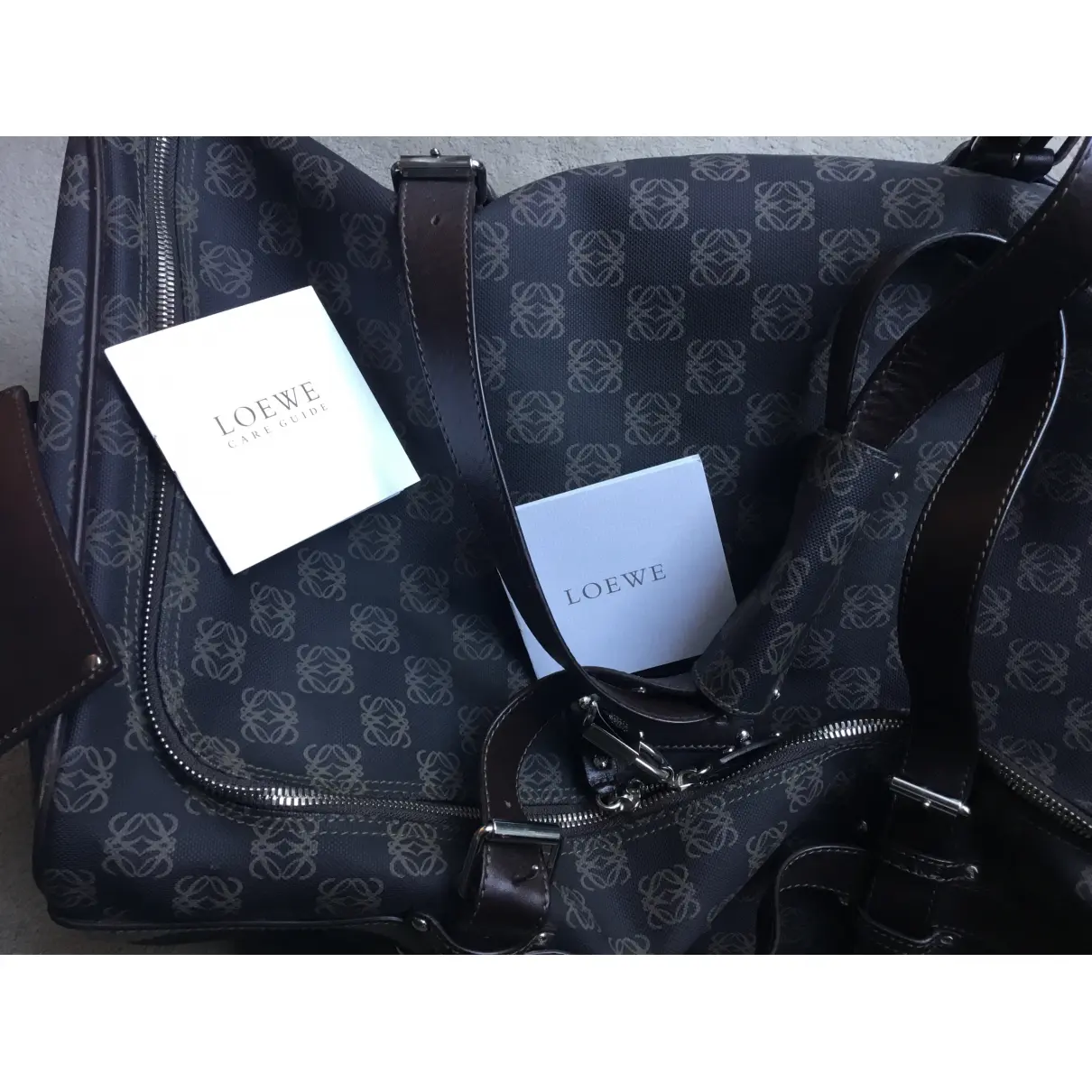 Cloth travel bag Loewe