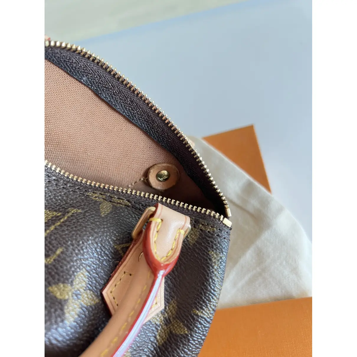 Buy Louis Vuitton Nano Speedy / Mini HL cloth mini bag online