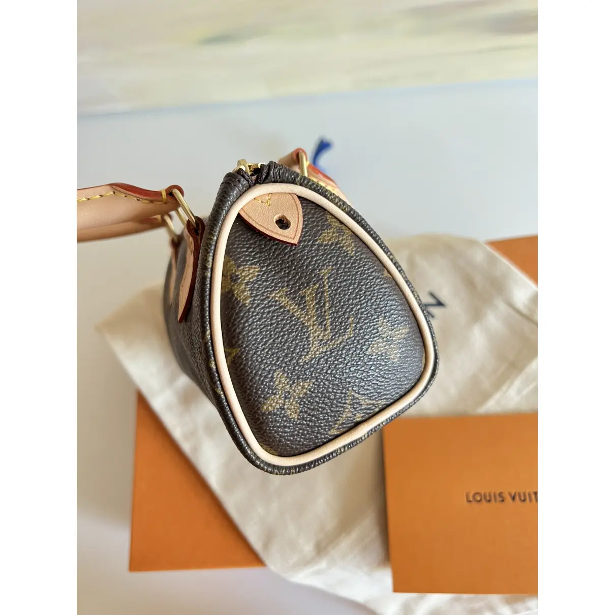 Nano Speedy / Mini HL cloth mini bag Louis Vuitton