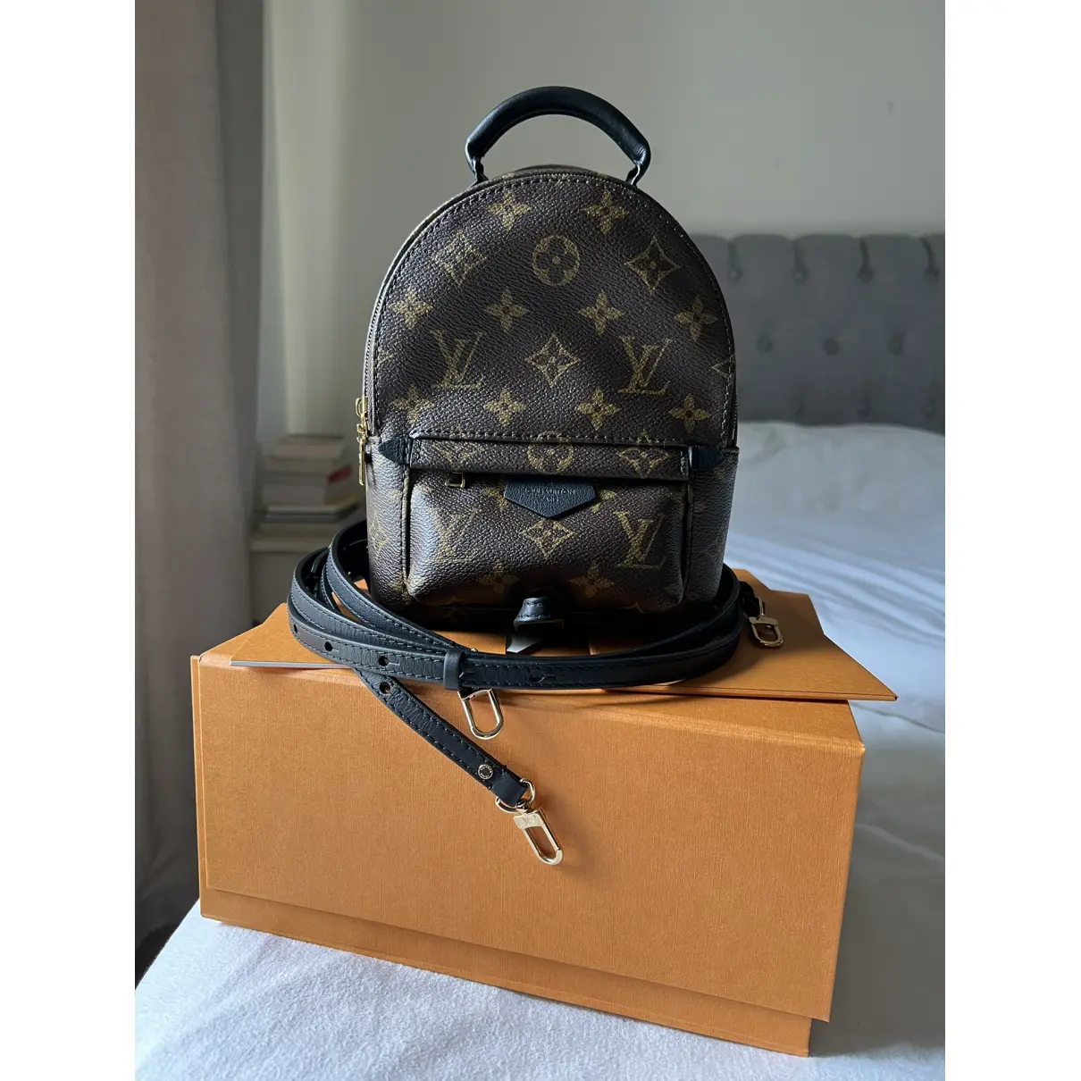 Palm Springs cloth backpack Louis Vuitton