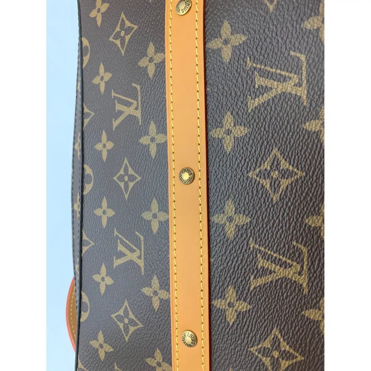 Buy Louis Vuitton Soft trunk mini cloth bag online