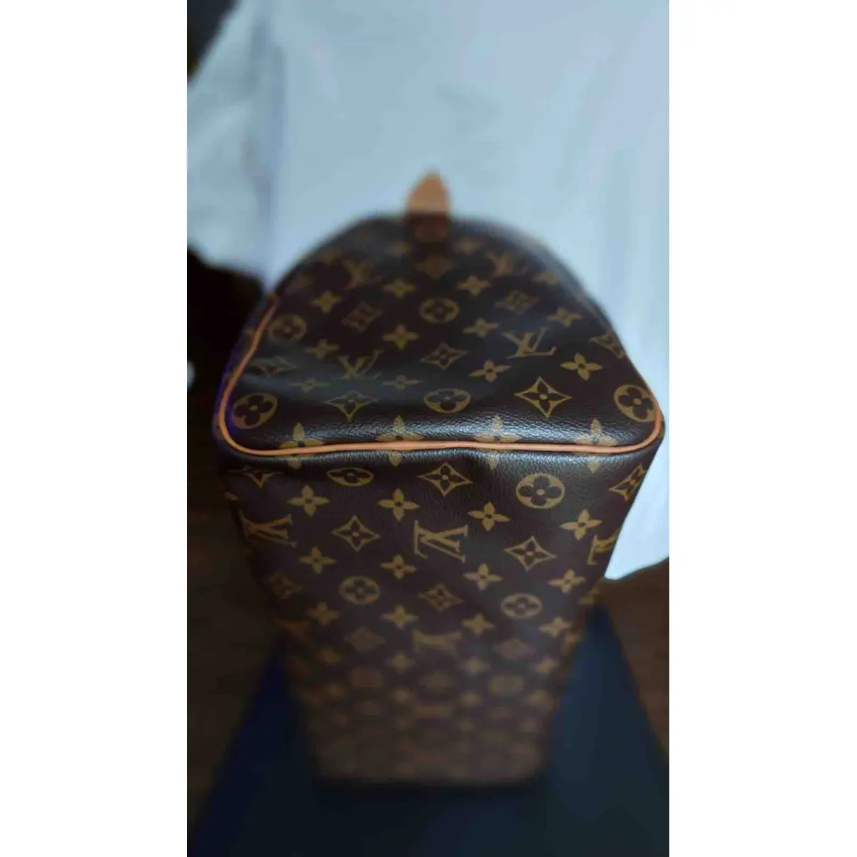 Speedy cloth bag Louis Vuitton