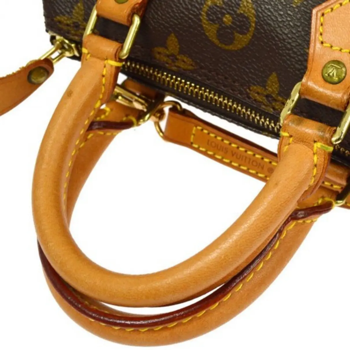 Speedy exotic leathers handbag Louis Vuitton