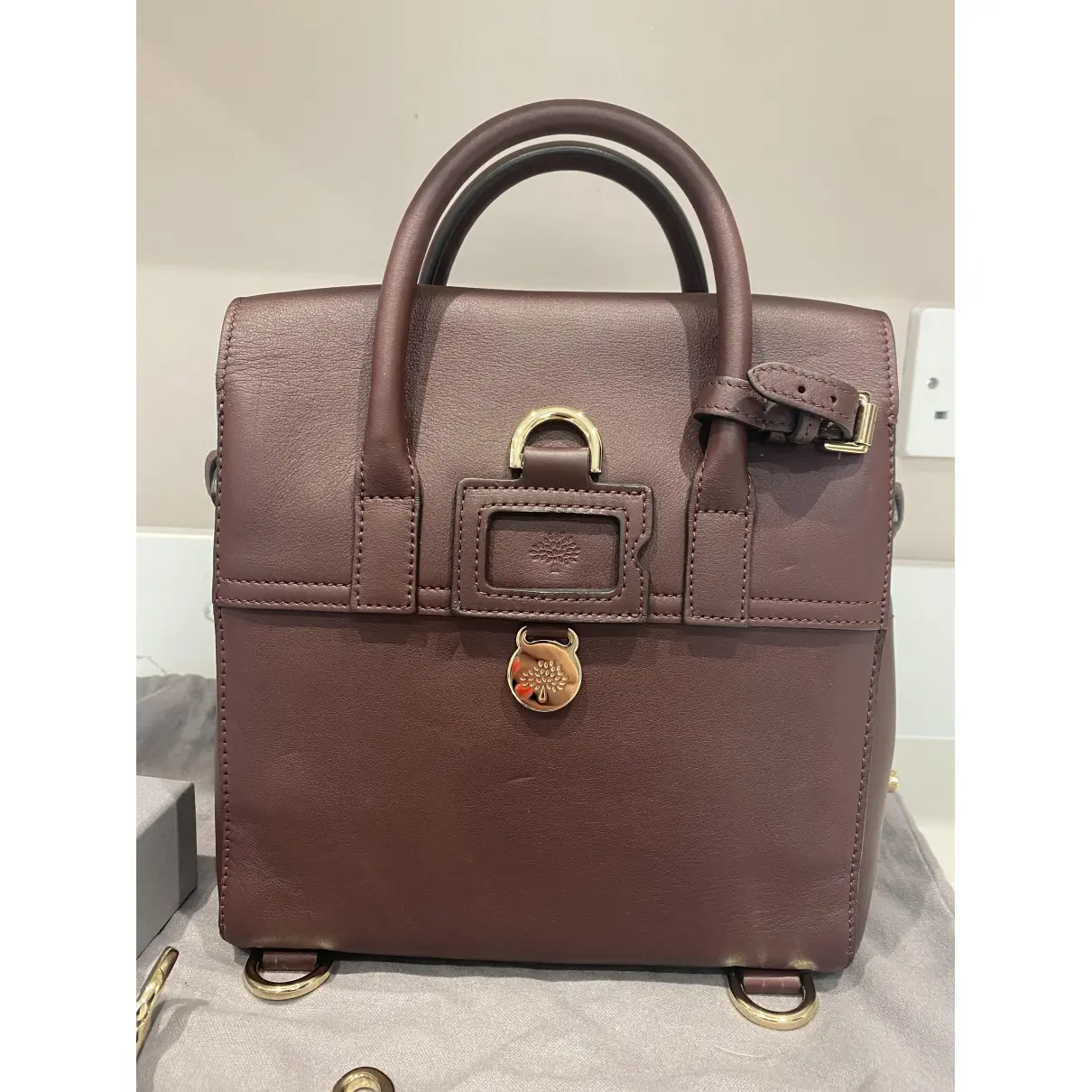 Buy Mulberry Cara Delevigne leather bag online