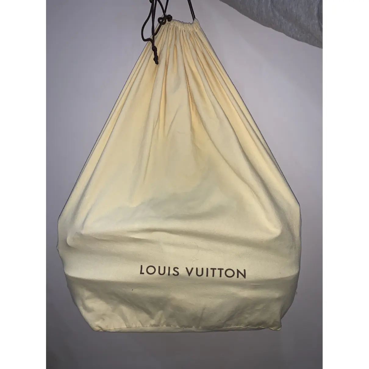 Buy Louis Vuitton Garment leather travel bag online