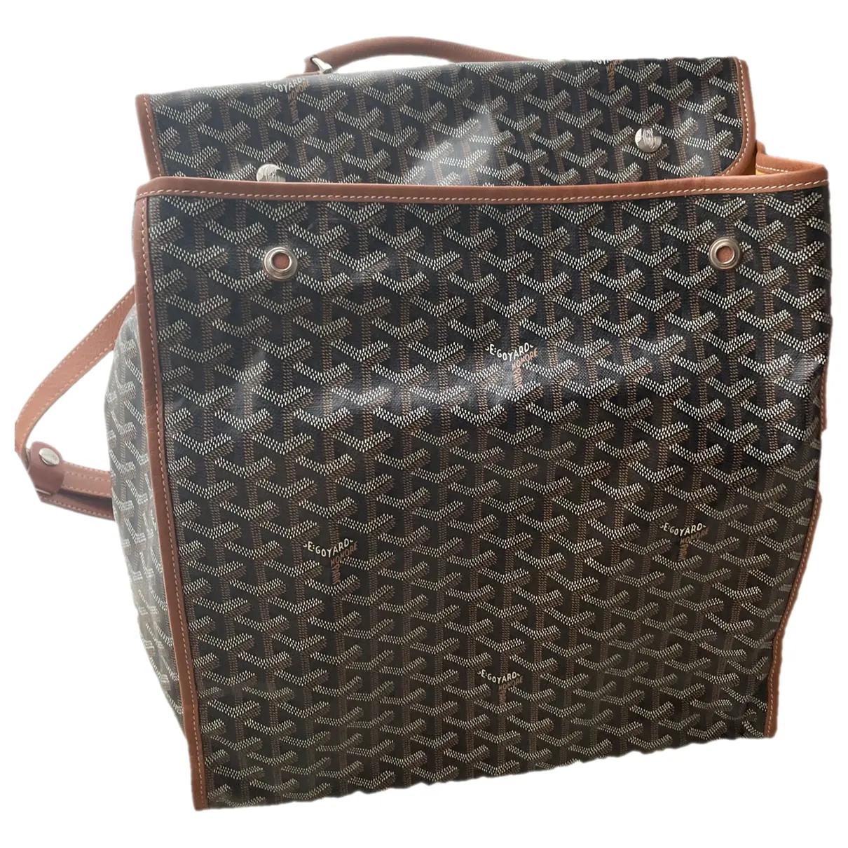 Leather backpack Goyard