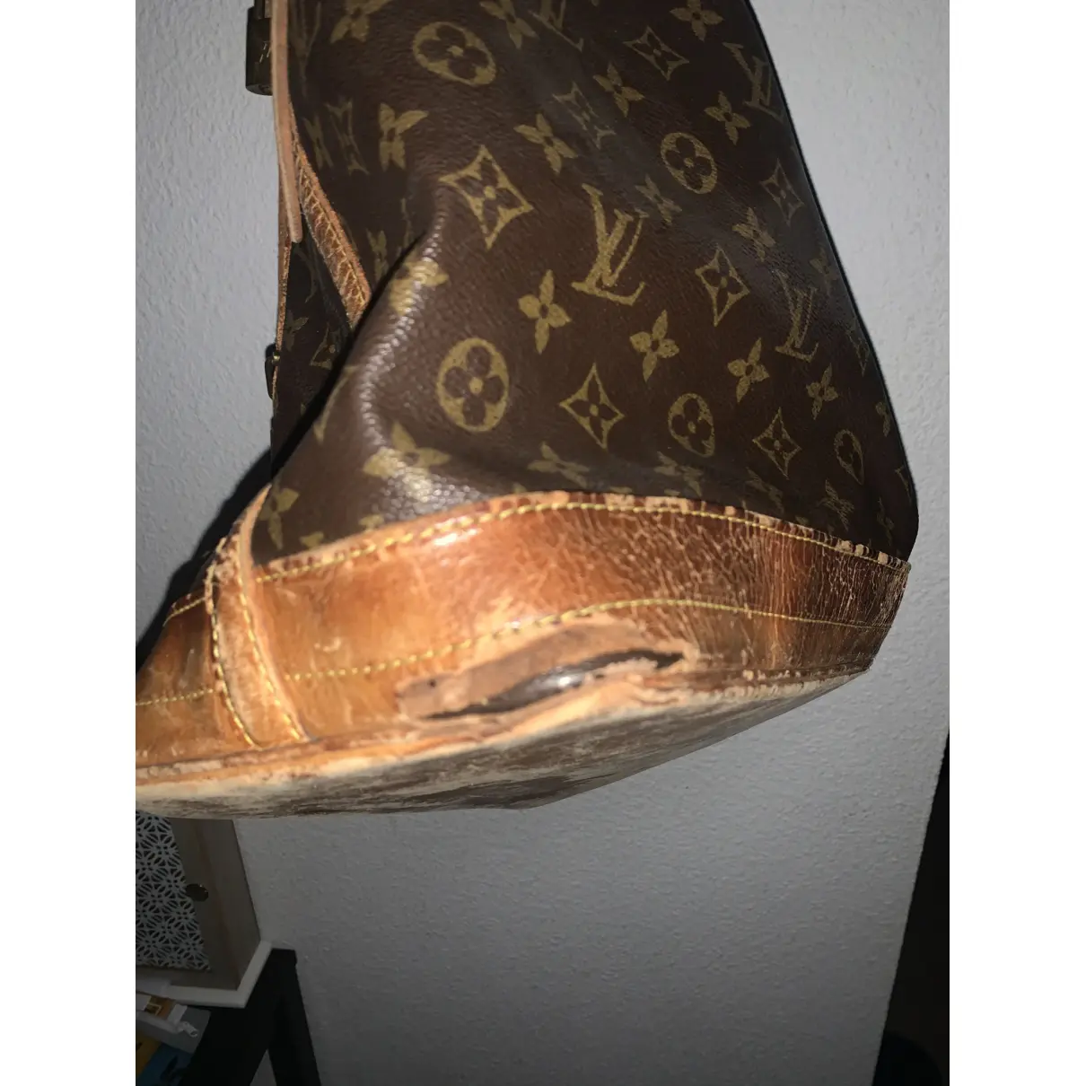 Noé leather crossbody bag Louis Vuitton