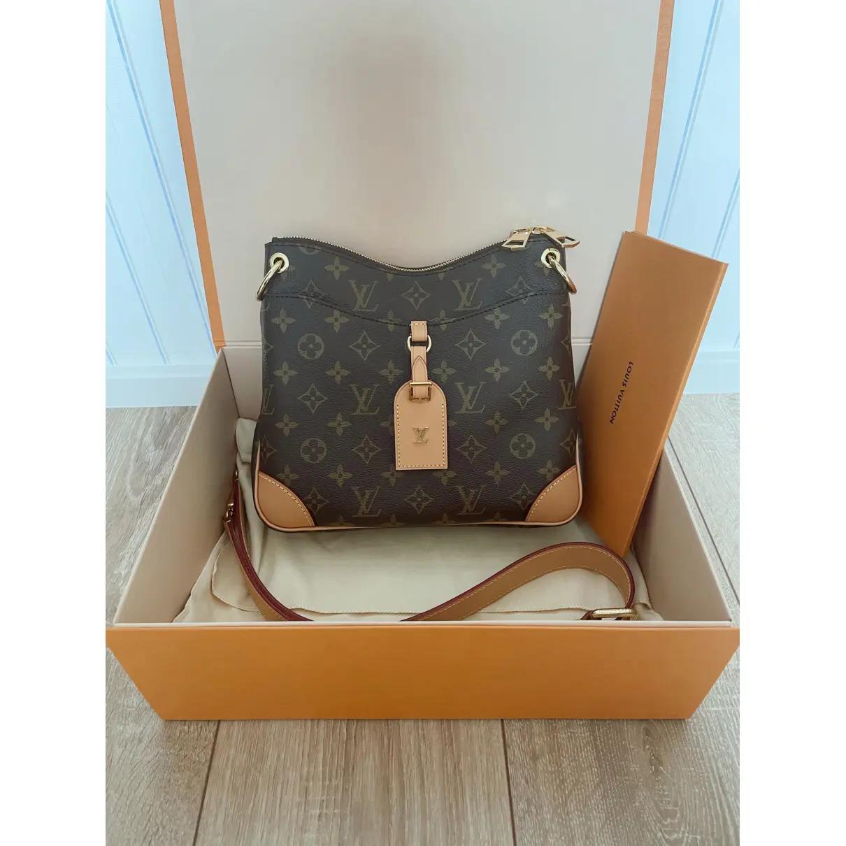 Odéon leather bag Louis Vuitton