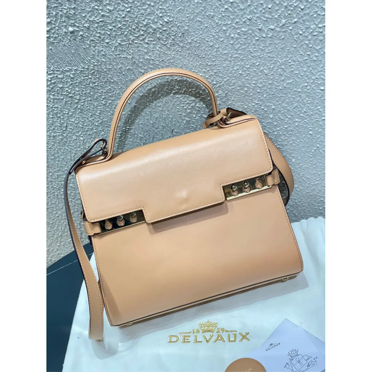 Tempête leather handbag Delvaux