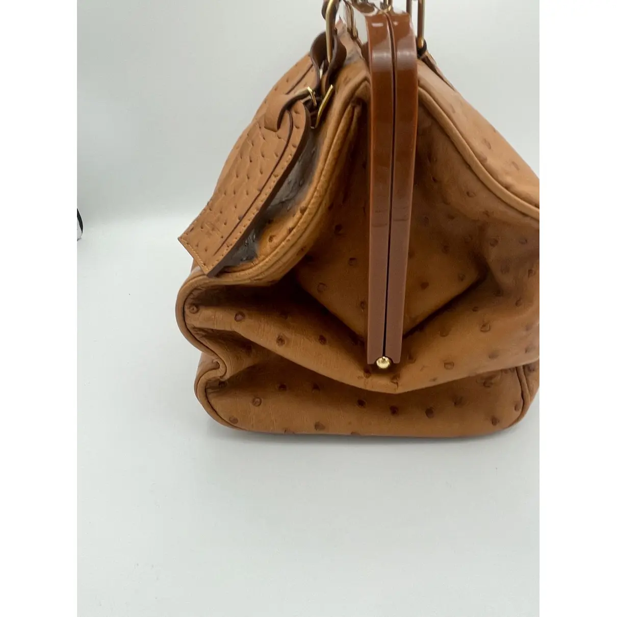 Ostrich handbag Louis Vuitton