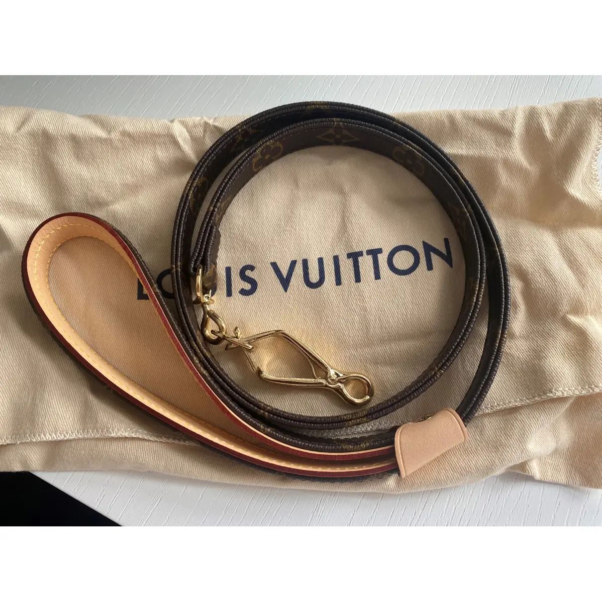 Laisse Baxter lead Louis Vuitton