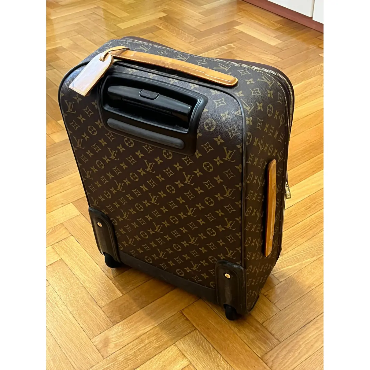 Pegase travel bag Louis Vuitton