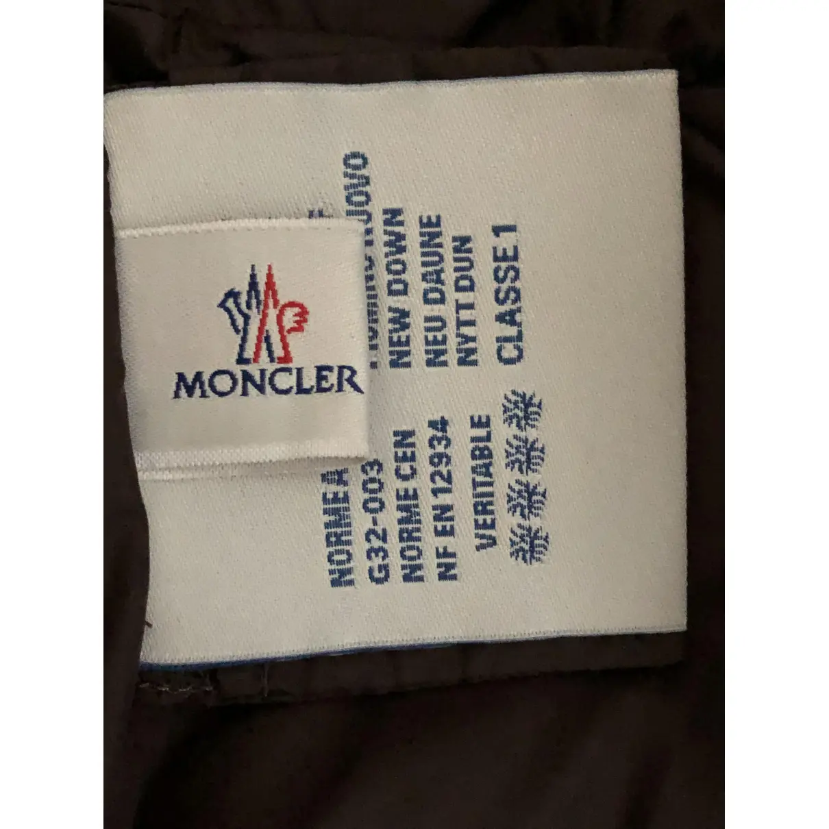 Buy Moncler Long puffer online