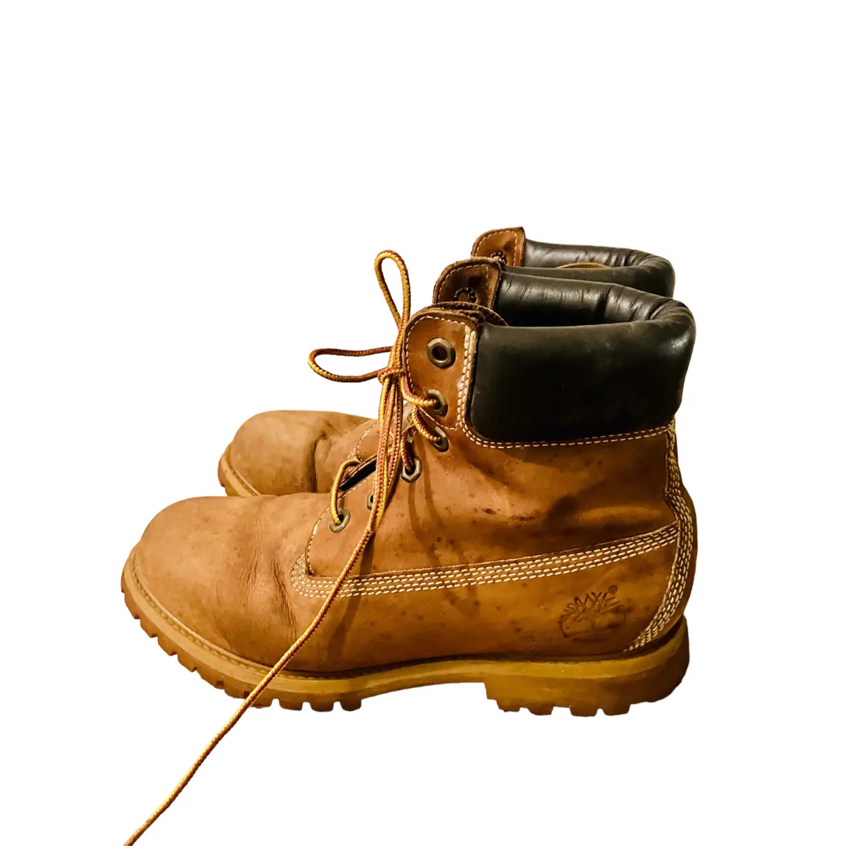 Luxury Timberland Ankle boots Women