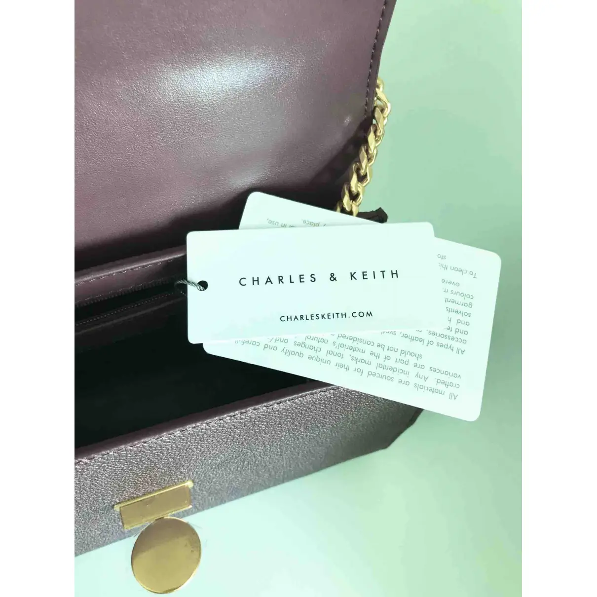 Luxury CHARLES & KEITH Handbags Women