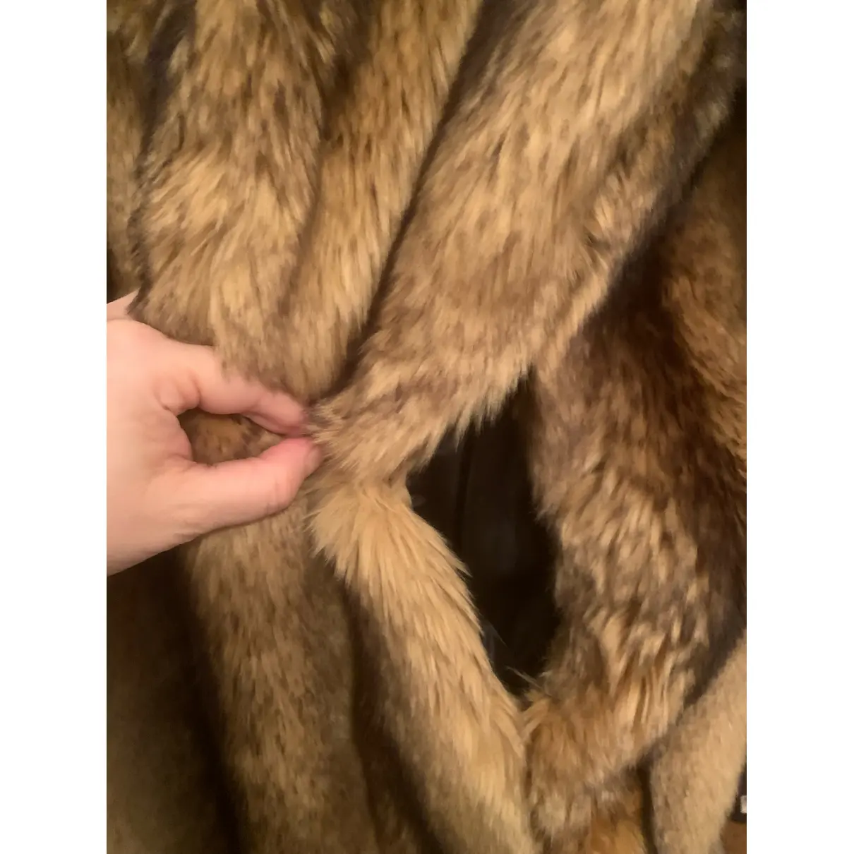 Faux fur coat & Other Stories