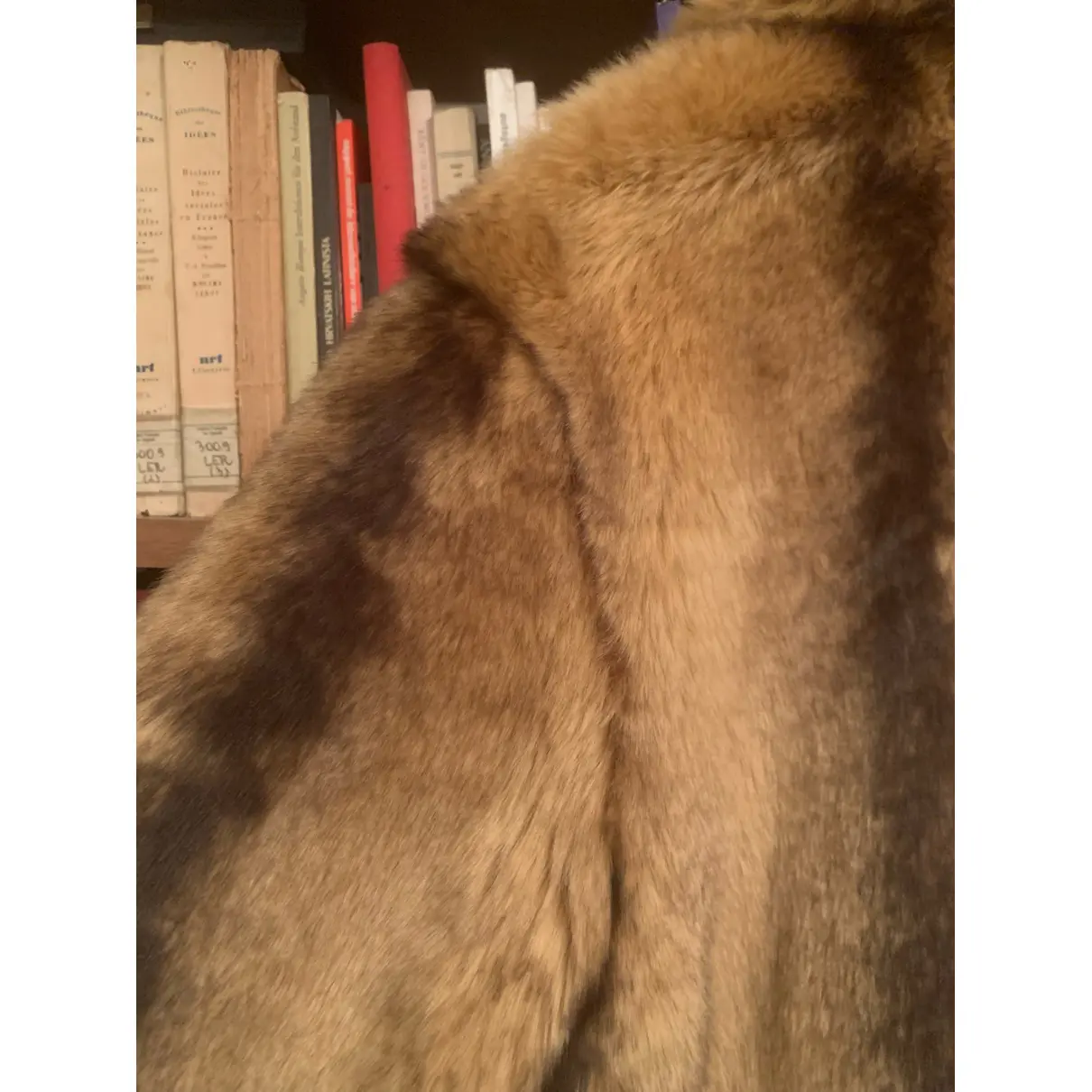 Faux fur coat & Other Stories