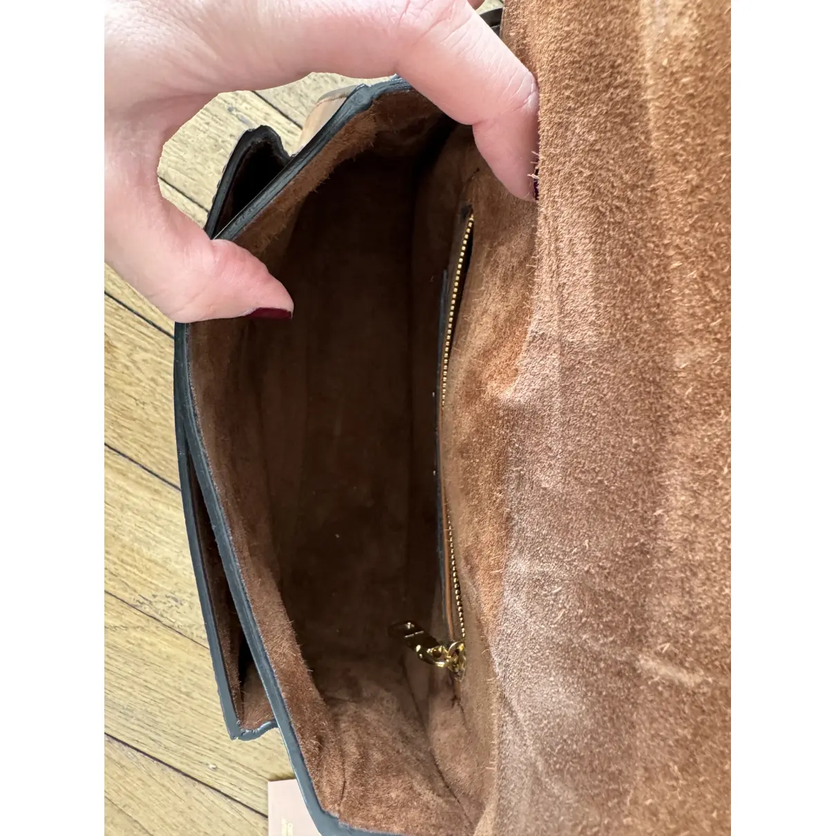 Dahlia leather handbag Miu Miu