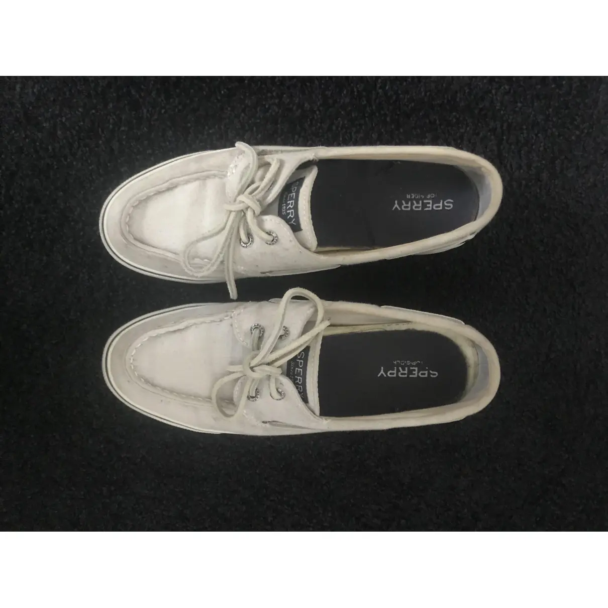 Buy Sperry Cloth trainers online