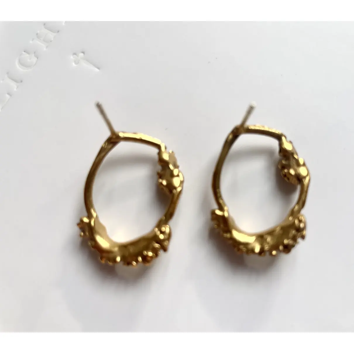 Buy Alighieri Earrings online