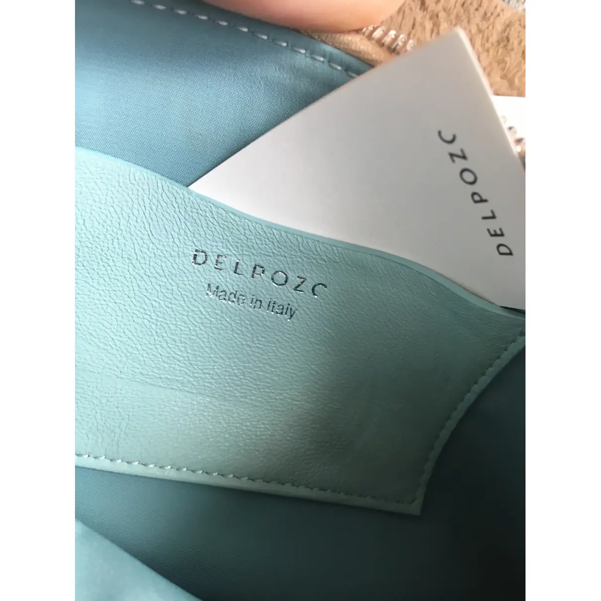 Luxury Delpozo Handbags Women