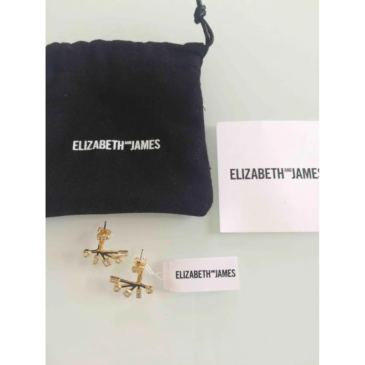 Buy Elizabeth And James Earrings online