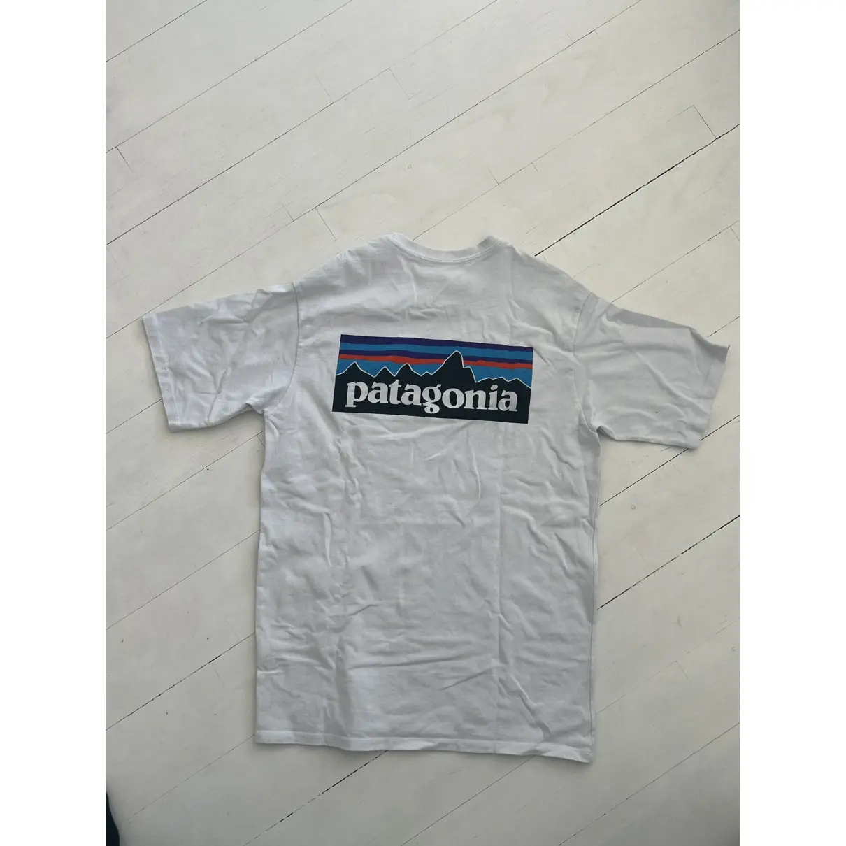 Luxury Patagonia T-shirts Men