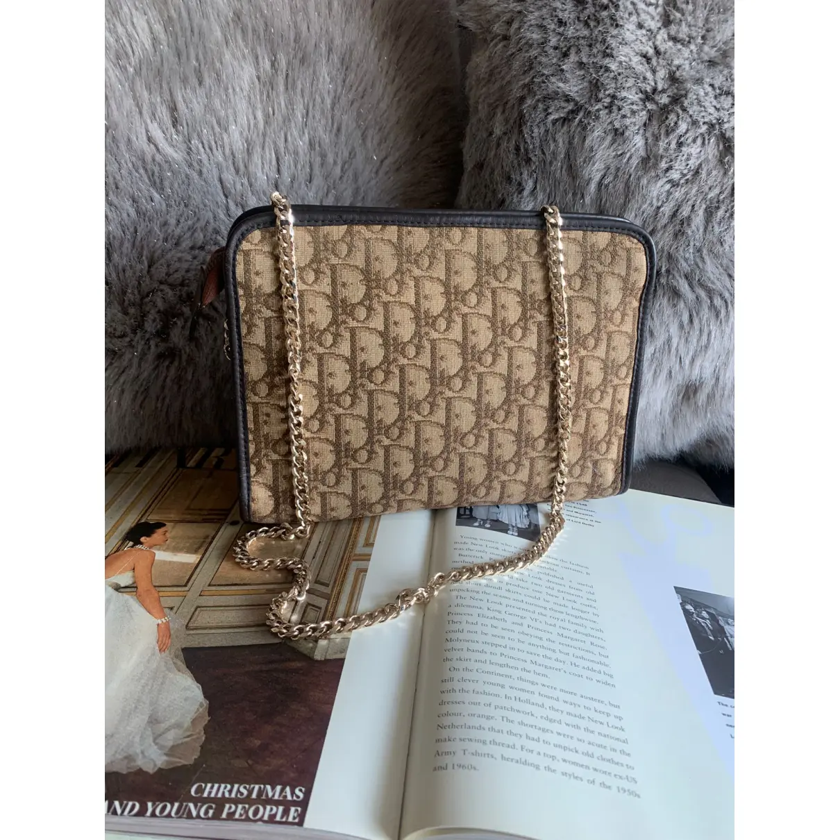 Buy Dior Trotter cloth handbag online