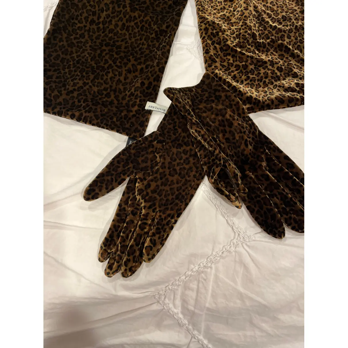 Buy Ann Taylor Gloves online
