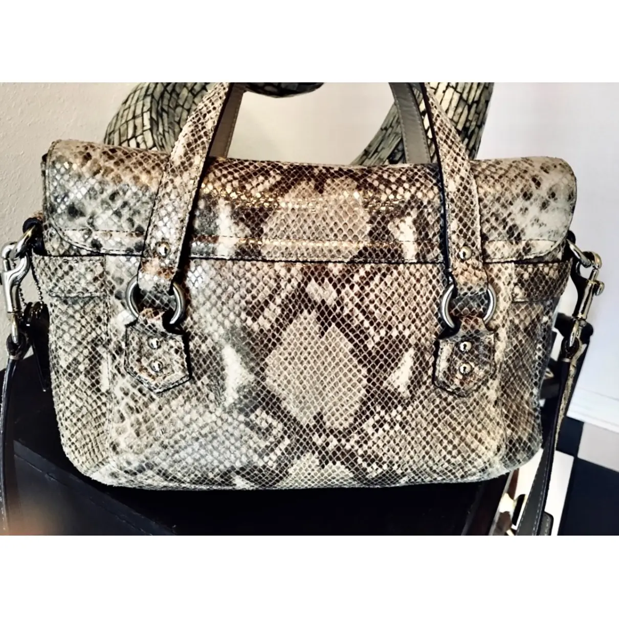 Buy Coach Python handbag online