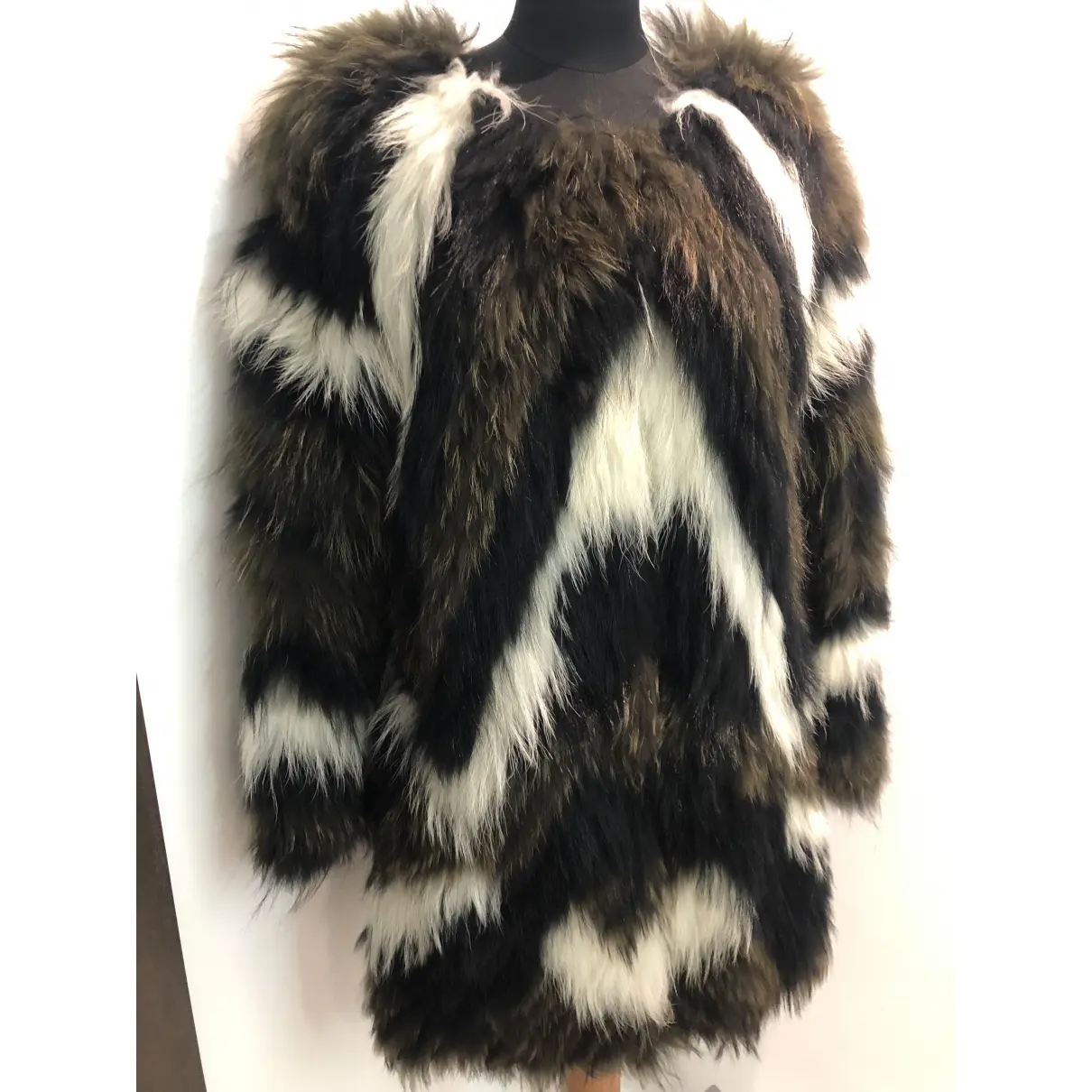 Raccoon coat Rizal