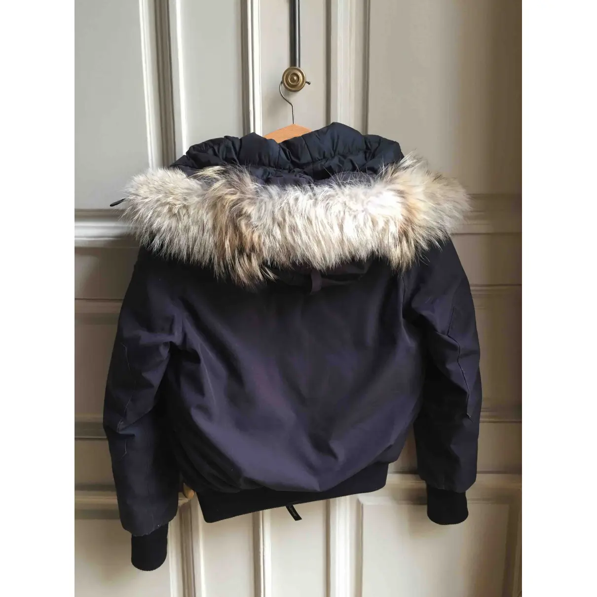 Buy Canada Goose Navy Cotton Jacket & coat Chilliwack online