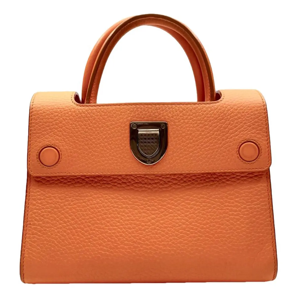 Diorever leather handbag