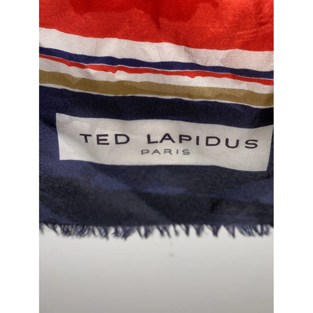 Silk scarf Ted Lapidus