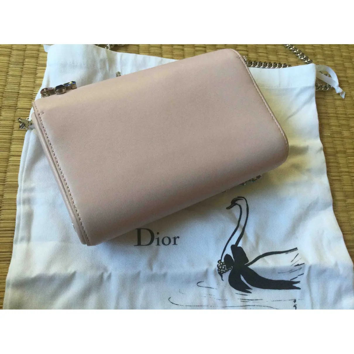 Luxury Christian Dior Clutch bags Women