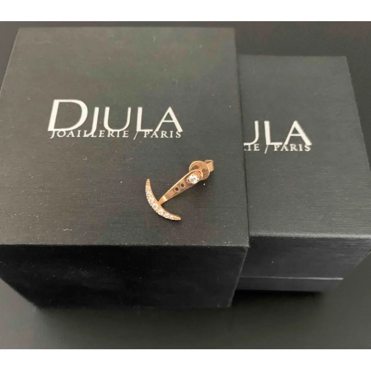 Luxury Djula Earrings Women