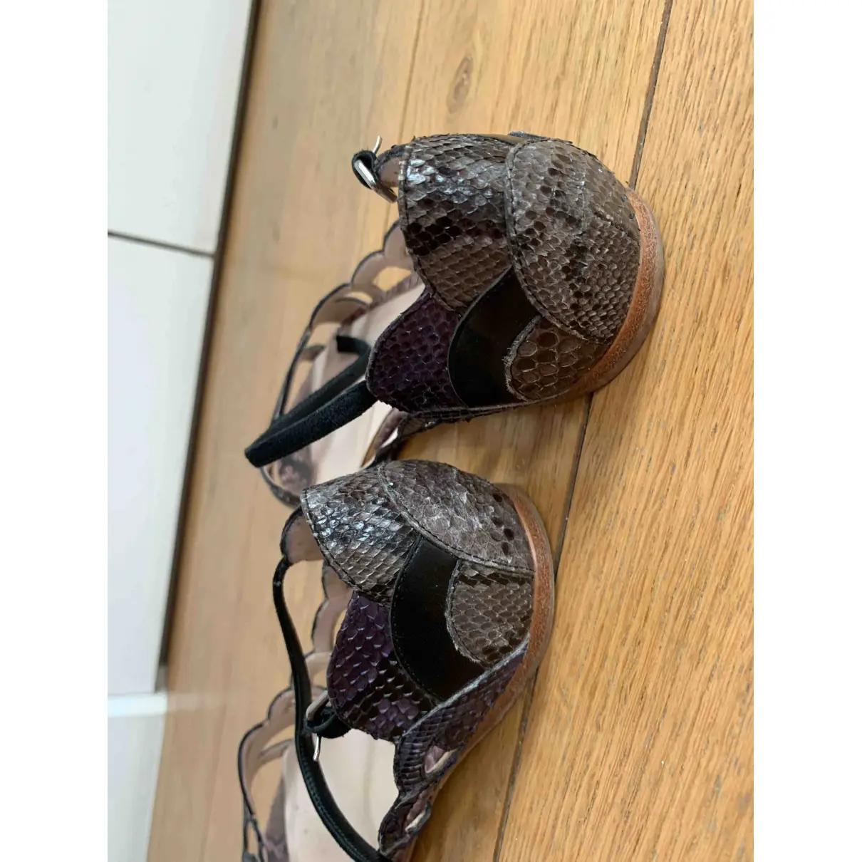 Python sandals Miu Miu