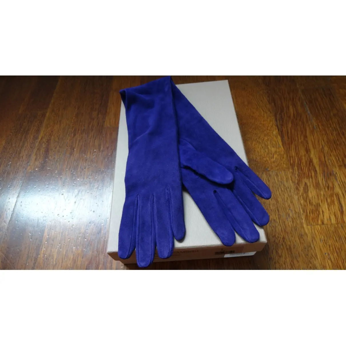 Long gloves Gianvito Rossi