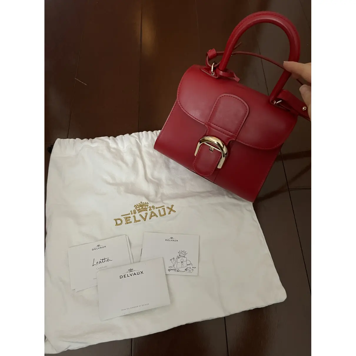 Brillant leather bag Delvaux