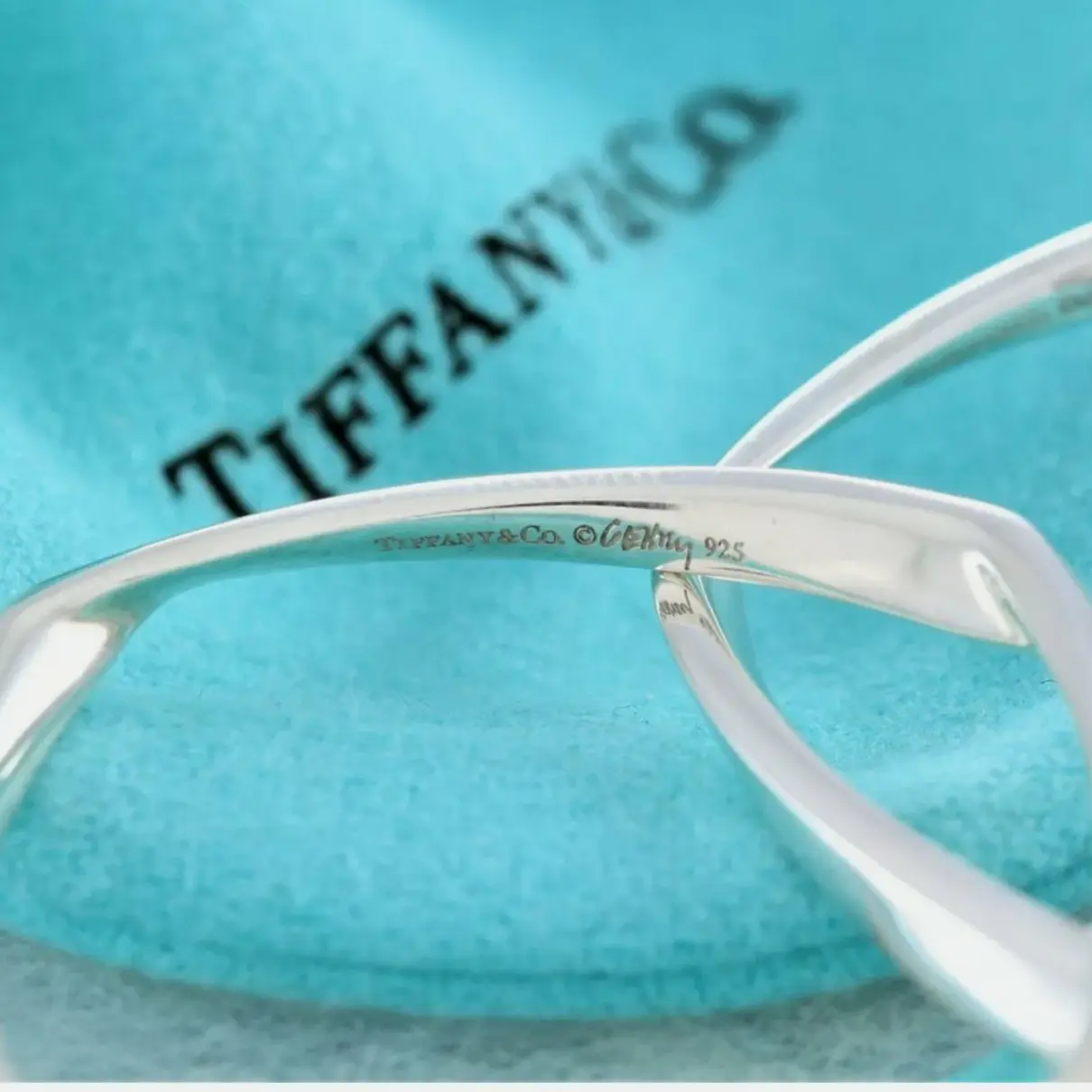 Luxury Tiffany & Co Earrings Women