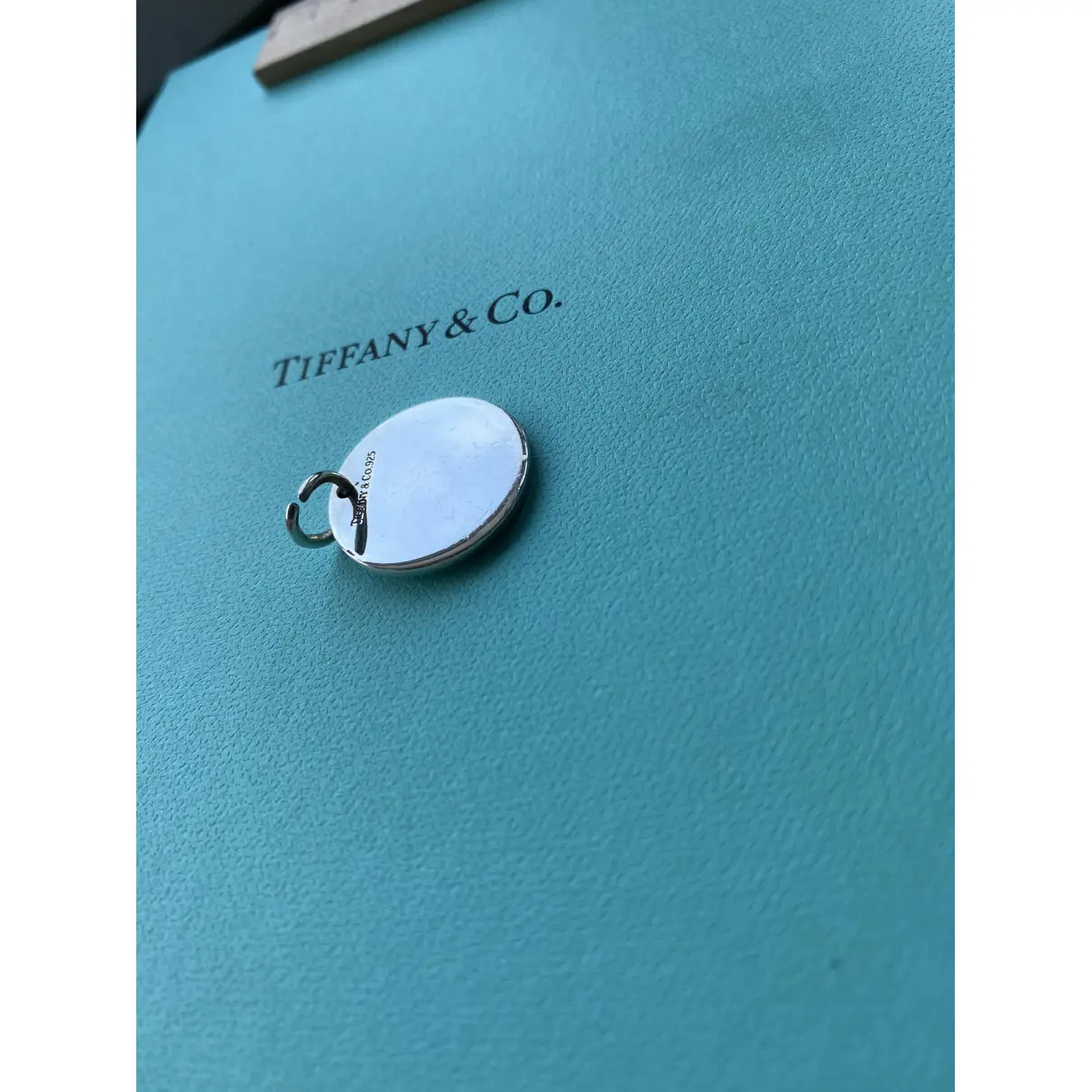 Luxury Tiffany & Co Pendants Women