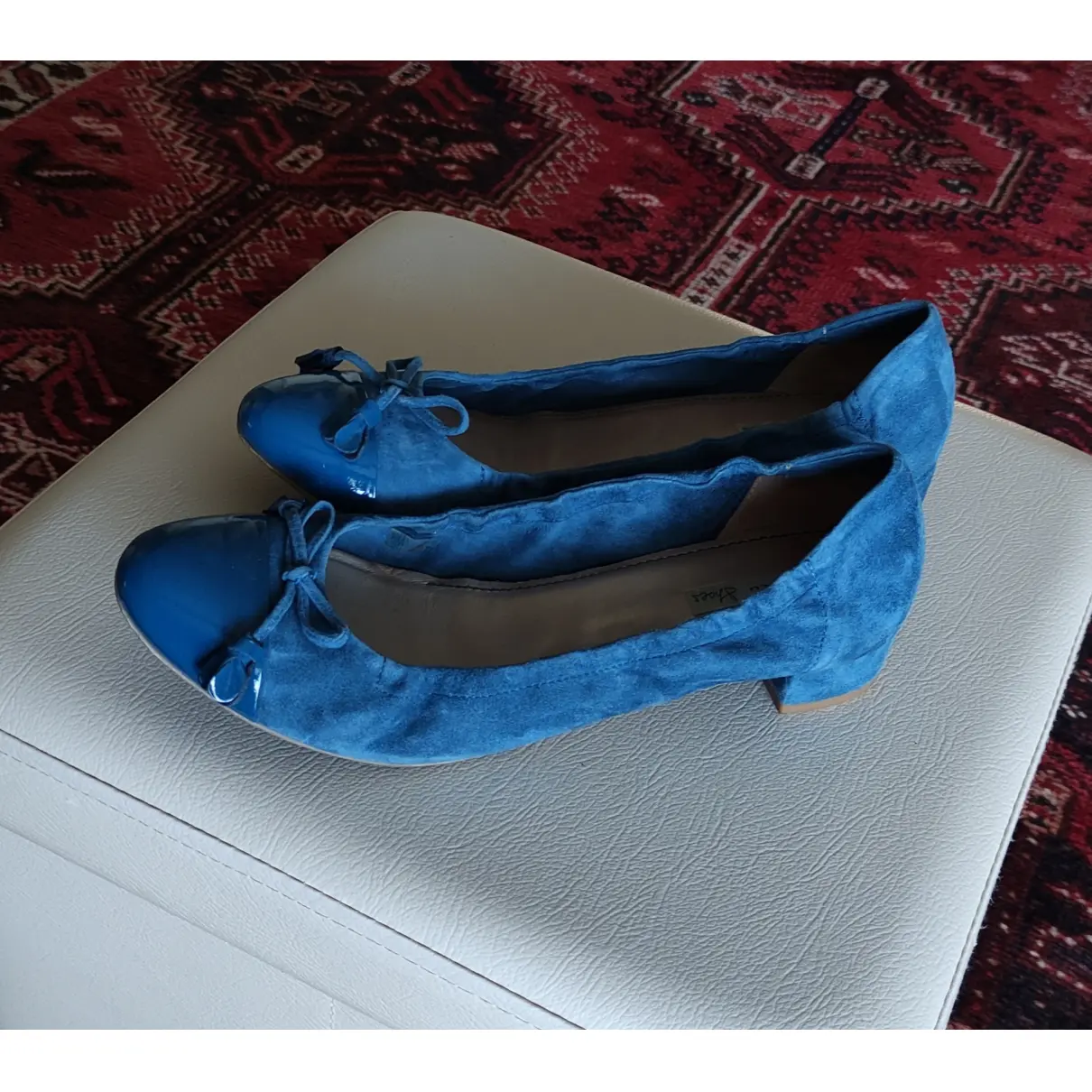 Buy Tosca Blu Leather ballet flats online