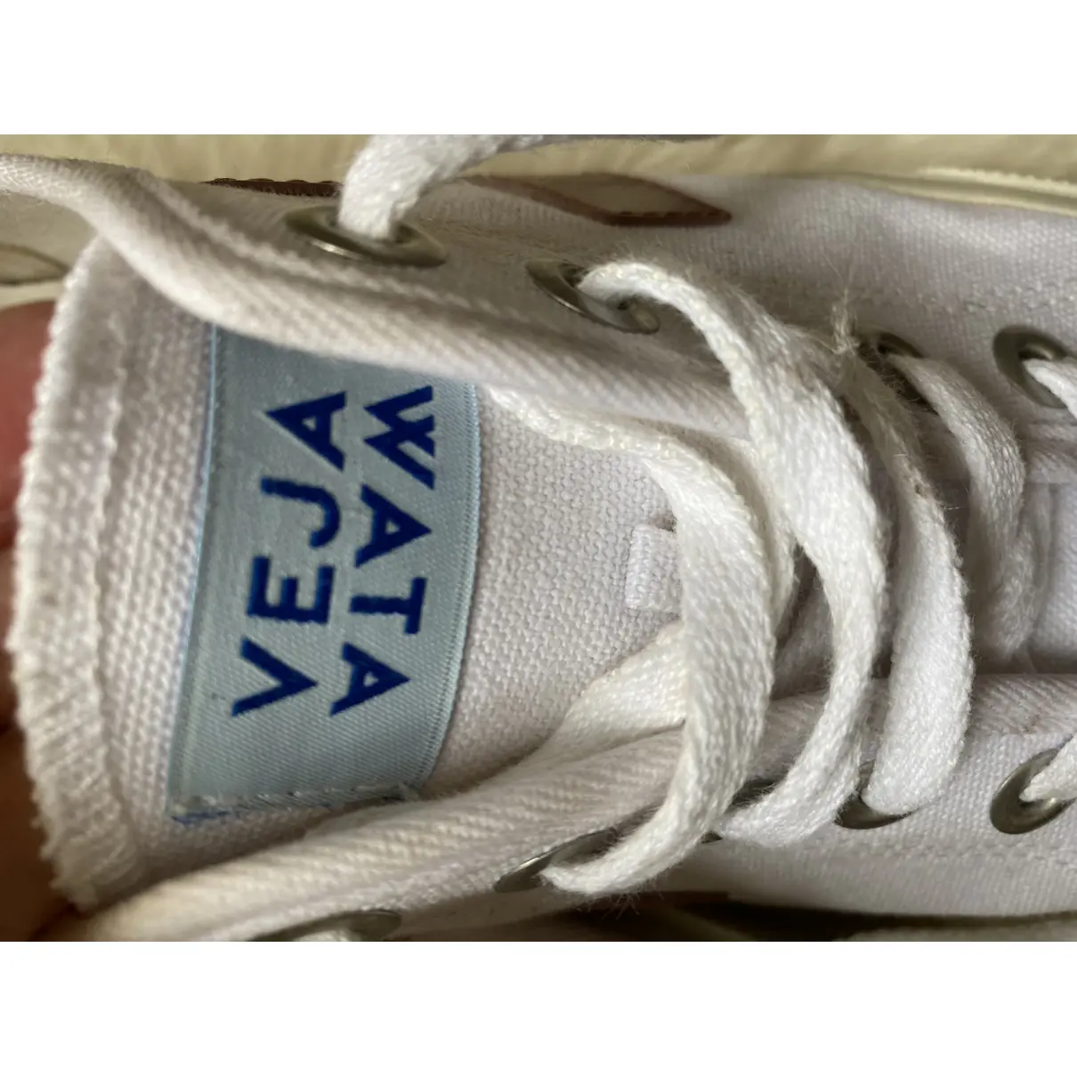 Buy Veja Cloth trainers online